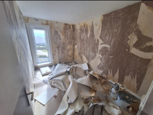 découvrez nos services de peinture professionnelle dans les hauts-de-seine (92) : rénovation intérieure et extérieure, conseils personnalisés et devis gratuit pour particuliers et entreprises.