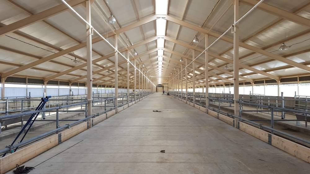 découvrez nos solutions innovantes pour la rénovation agricole, adaptées aux besoins des exploitations modernes. améliorez vos infrastructures et optimisez votre production.